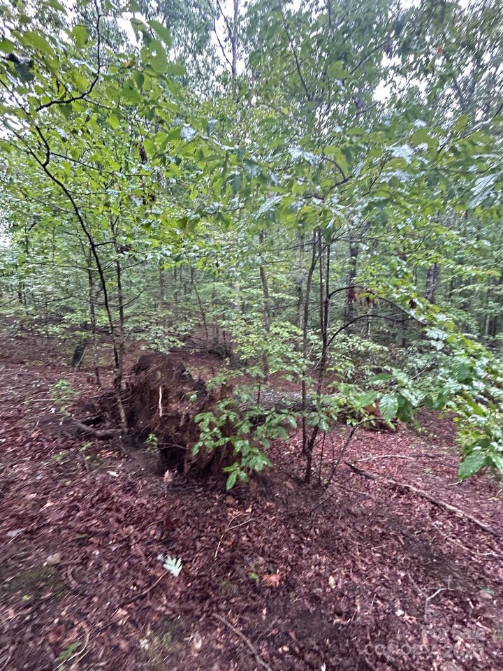 Property Photo: 90 Adirondack Trail 88 NC 28761
