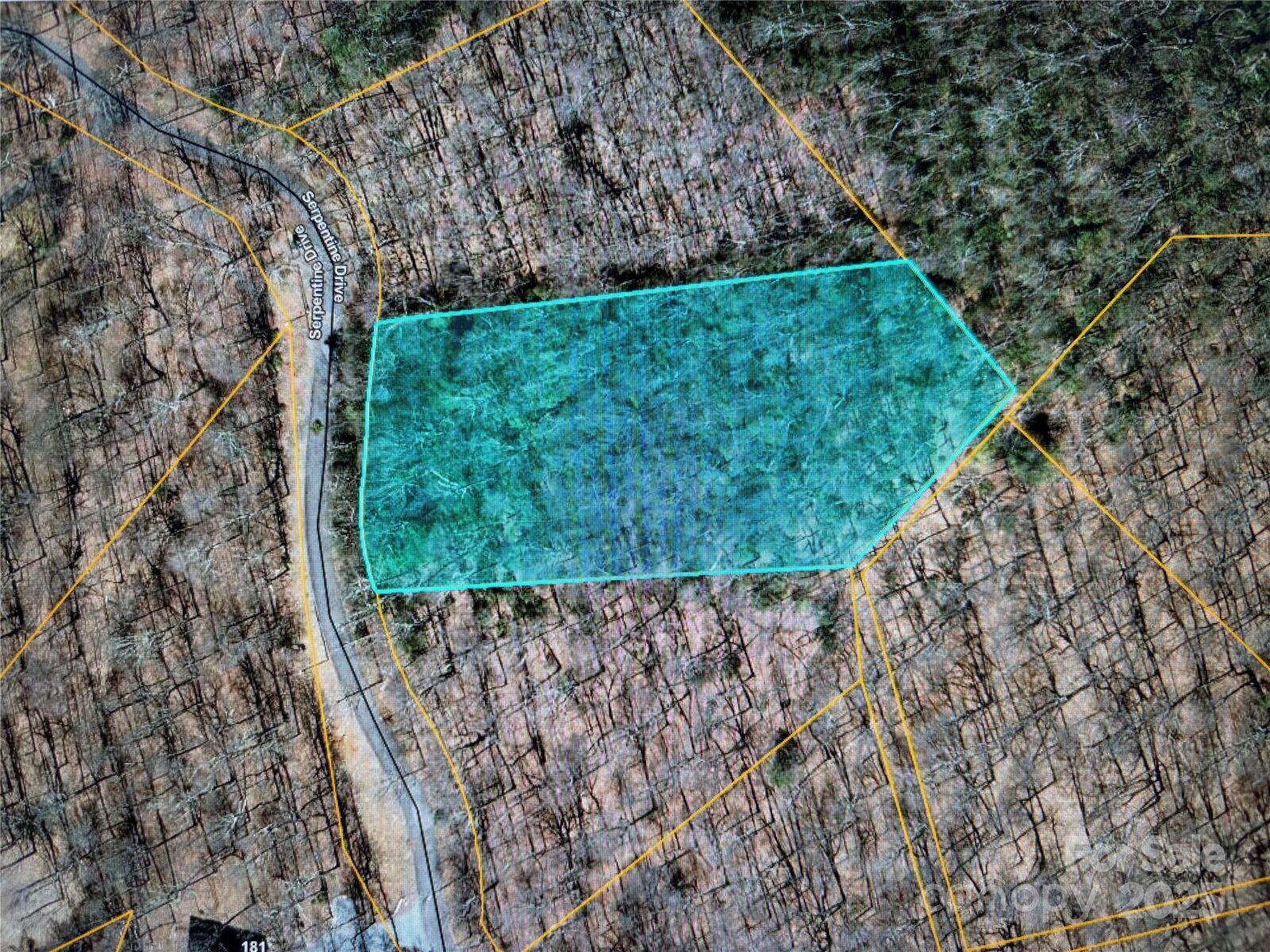 Property Photo: Lot 70 Serpentine Drive Lot 70 NC 28722