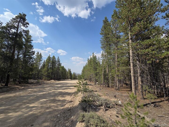 Property Photo:  455 Spruce Dr  CO 80461 