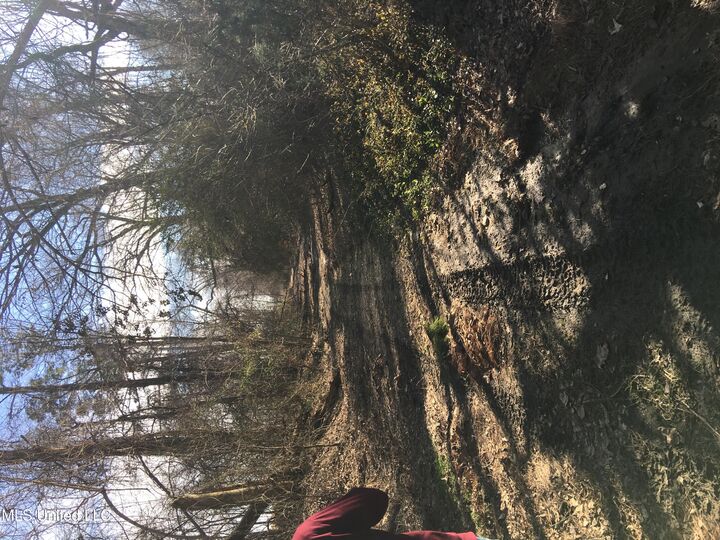 Address not disclosed photo