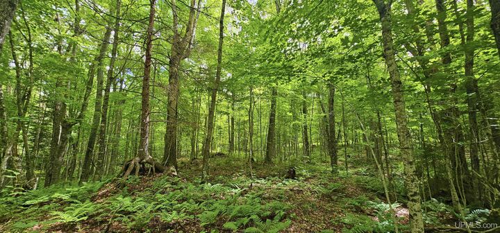 Property Photo:  Lot 19 Keweenaw Pass  MI 49945 