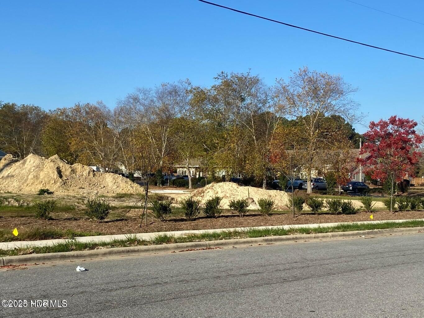 Property Photo: 0 Brown Street NC 27889