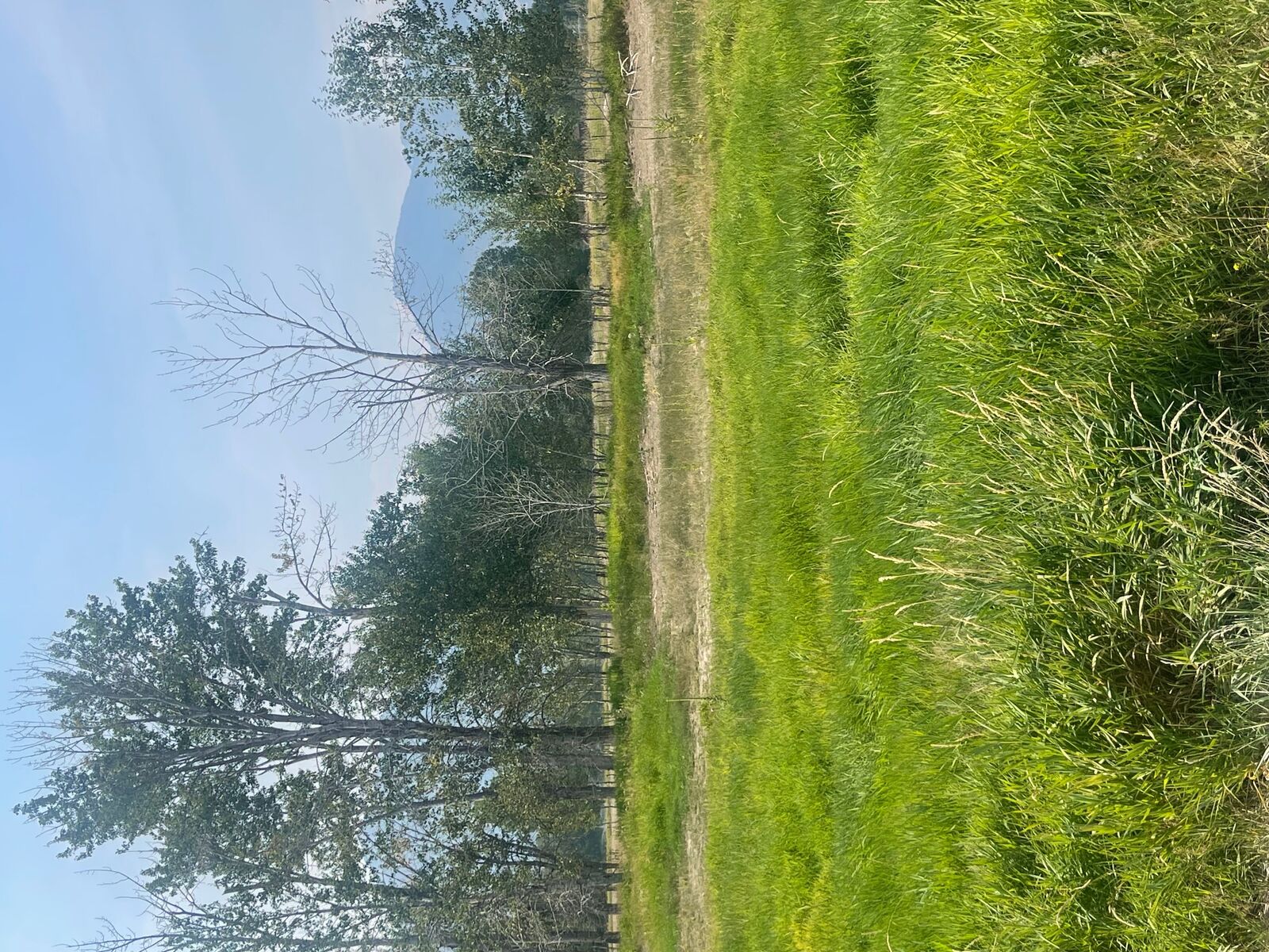 Property Photo: 659 Old Corvallis Road MT 59840
