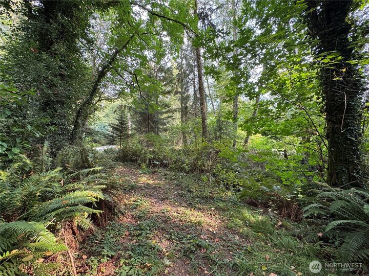 Property Photo: 0 Xxx Sills Road WA 98236