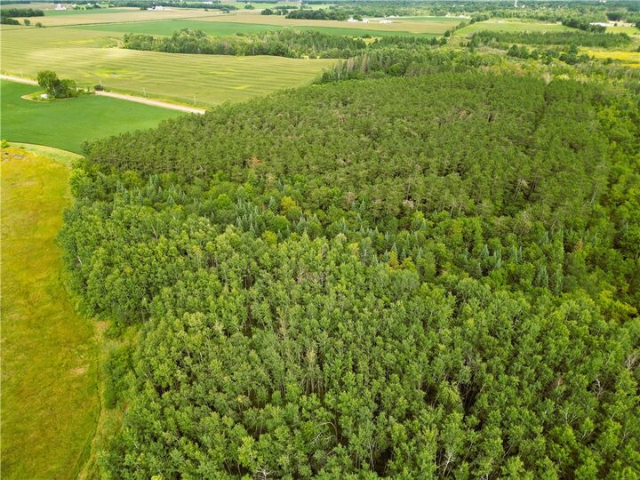 Property Photo:  34 Acres On Nachtwey Road  WI 54819 