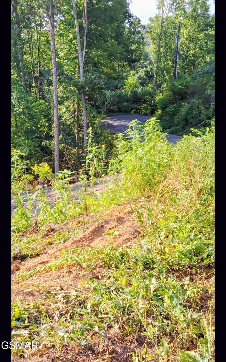 Property Photo: Lot 7R1 E. Kings Ridge Road TN 37876