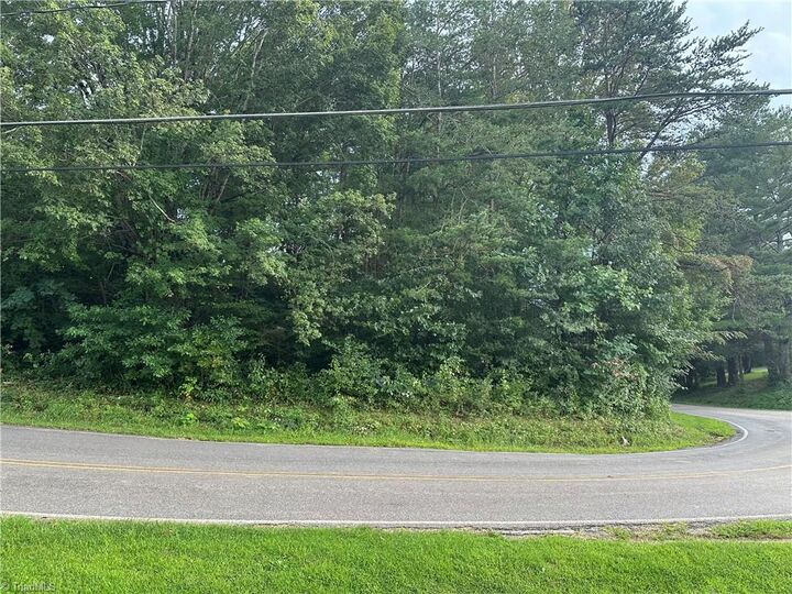 Property Photo:  00 Paynetown Road  NC 27030 