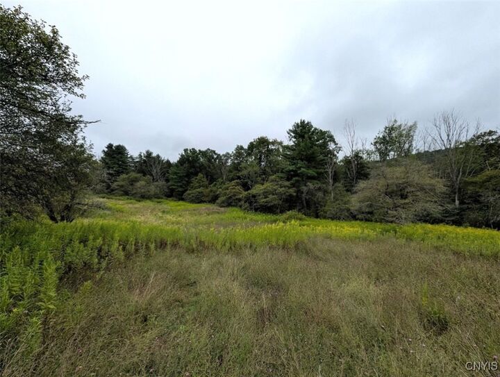 State Route 417  Woodhull NY 14898 photo