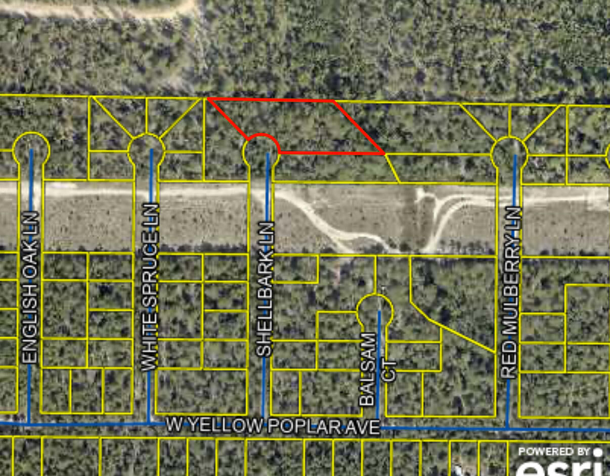Property Photo: 1 Acre Shellbark Lane FL 32433