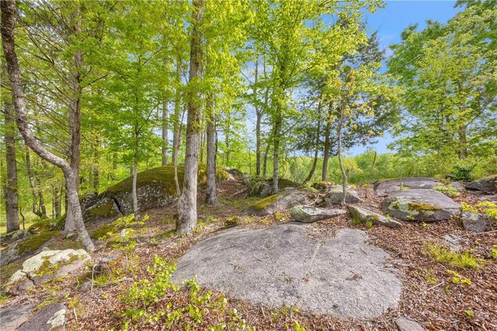 Property Photo: 2450 Chestnut Grove Road GA 31826