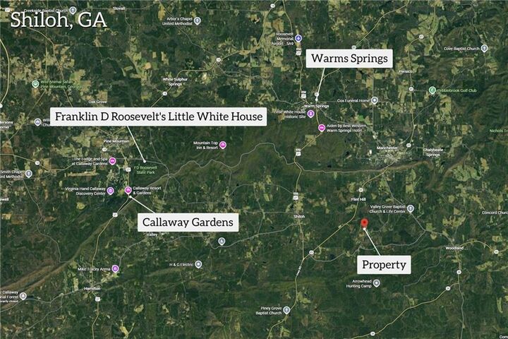 Property Photo:  2450 Chestnut Grove Road  GA 31826 