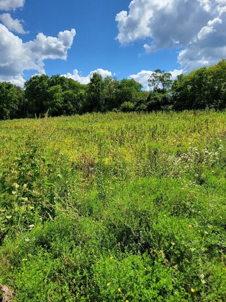 Property Photo: Lt0 Maple Ave WI 53089