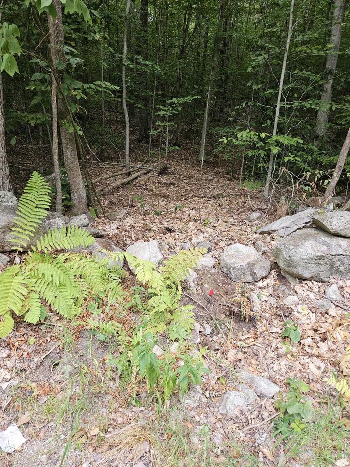 Property Photo: 0 Ossipee Mountain Road Road NH 03254