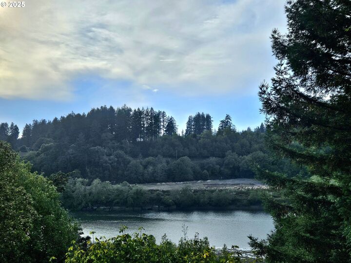 Property Photo:  97790 S Bank Chetco River Rd  OR 97415 