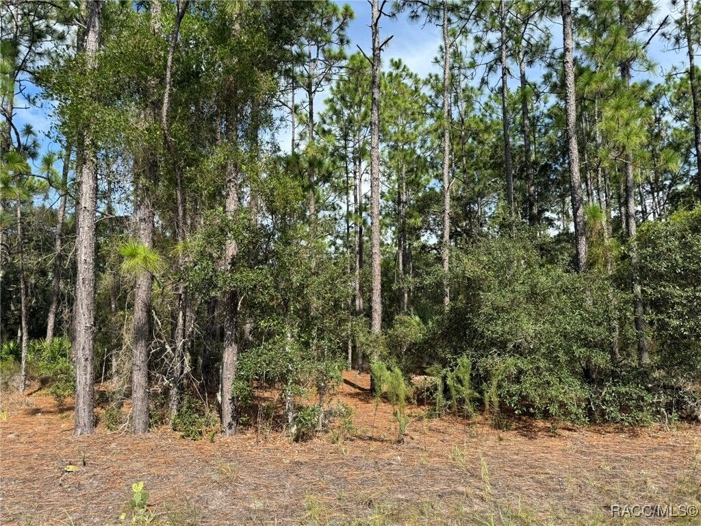 Property Photo: 11109 N Trigger Terrace FL 34433