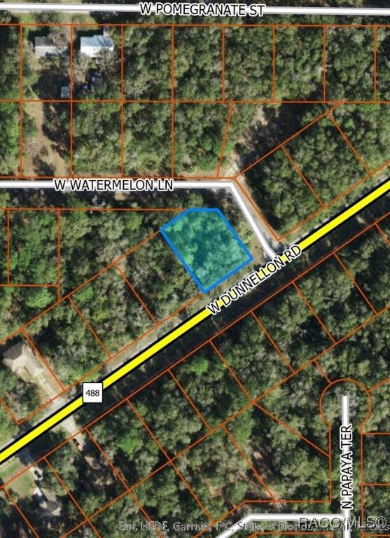 Property Photo: 9602 W Watermelon Lane FL 34428