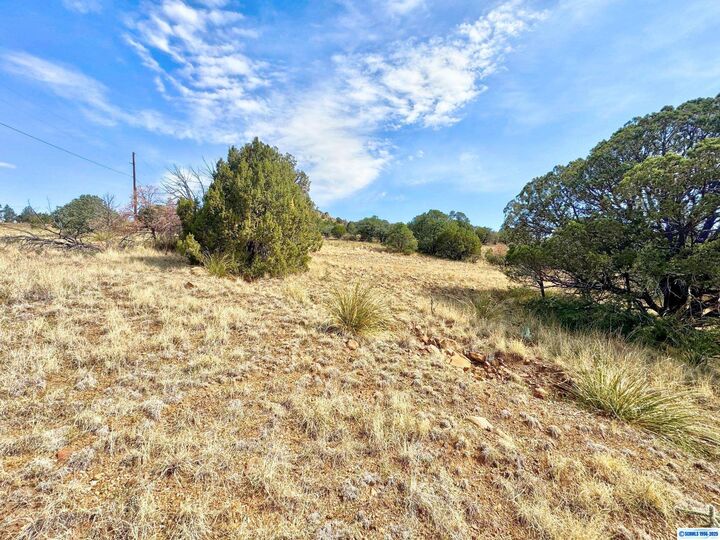 Property Photo:  Xx Wendy Road  NM 88061 