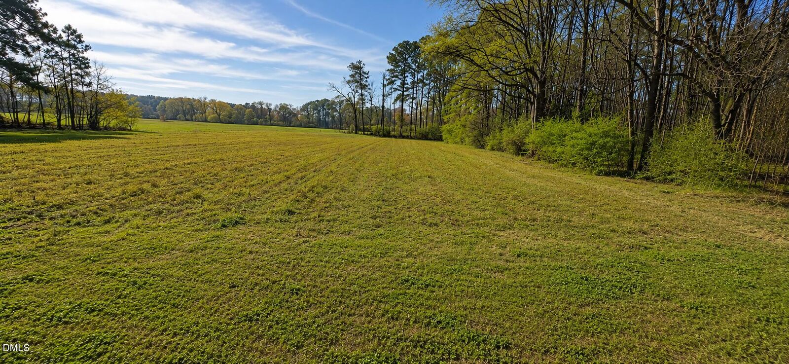 Property Photo: 0 Dead End Road NC 27823