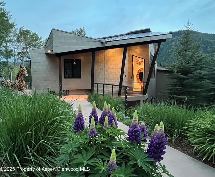 Property Photo: 257 Mountain Laurel Drive CO 81611