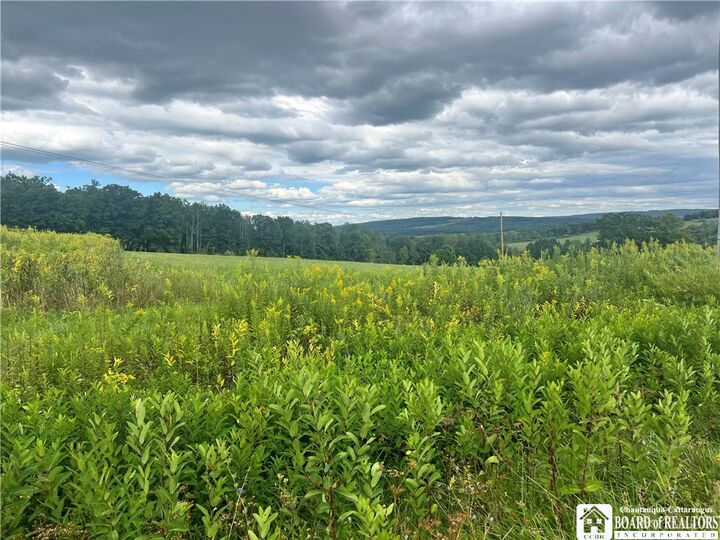 Property Photo: Dutch Hill Road NY 14735