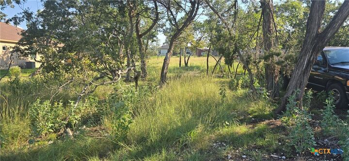Property Photo: 15939 Salado Drive TX 76502