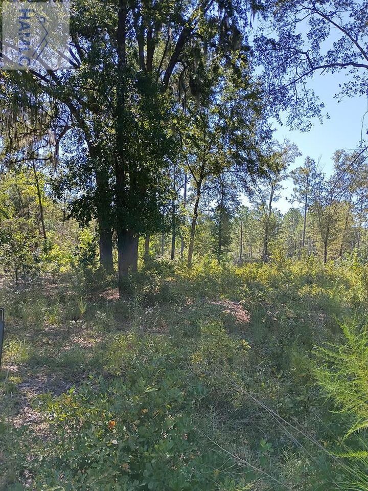 Property Photo:  Lot 13 Faithland Drive  GA 31313 