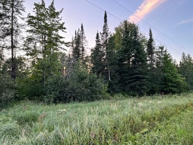 Property Photo: Xxx County Rd 142 MN 55707