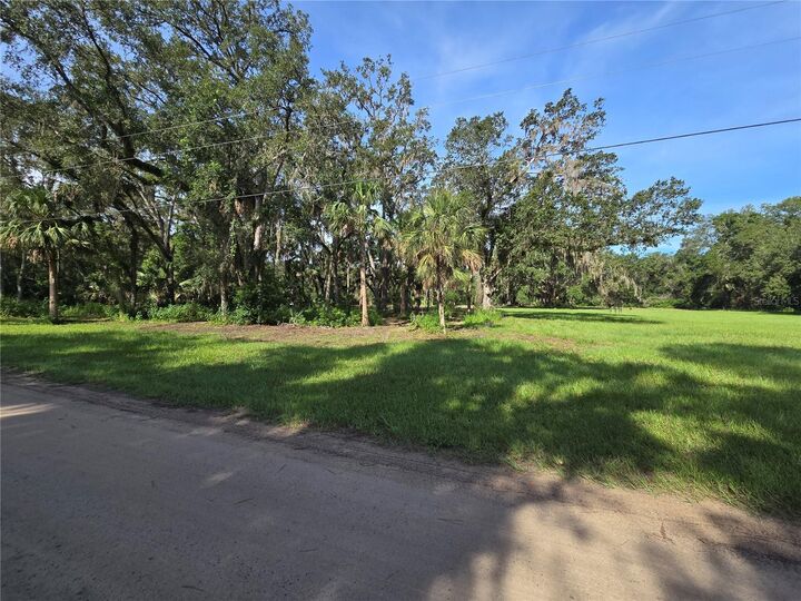 Property Photo: Crystal Lane FL 32784