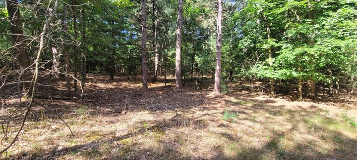 Property Photo: S 32nd Avenue MI 49455