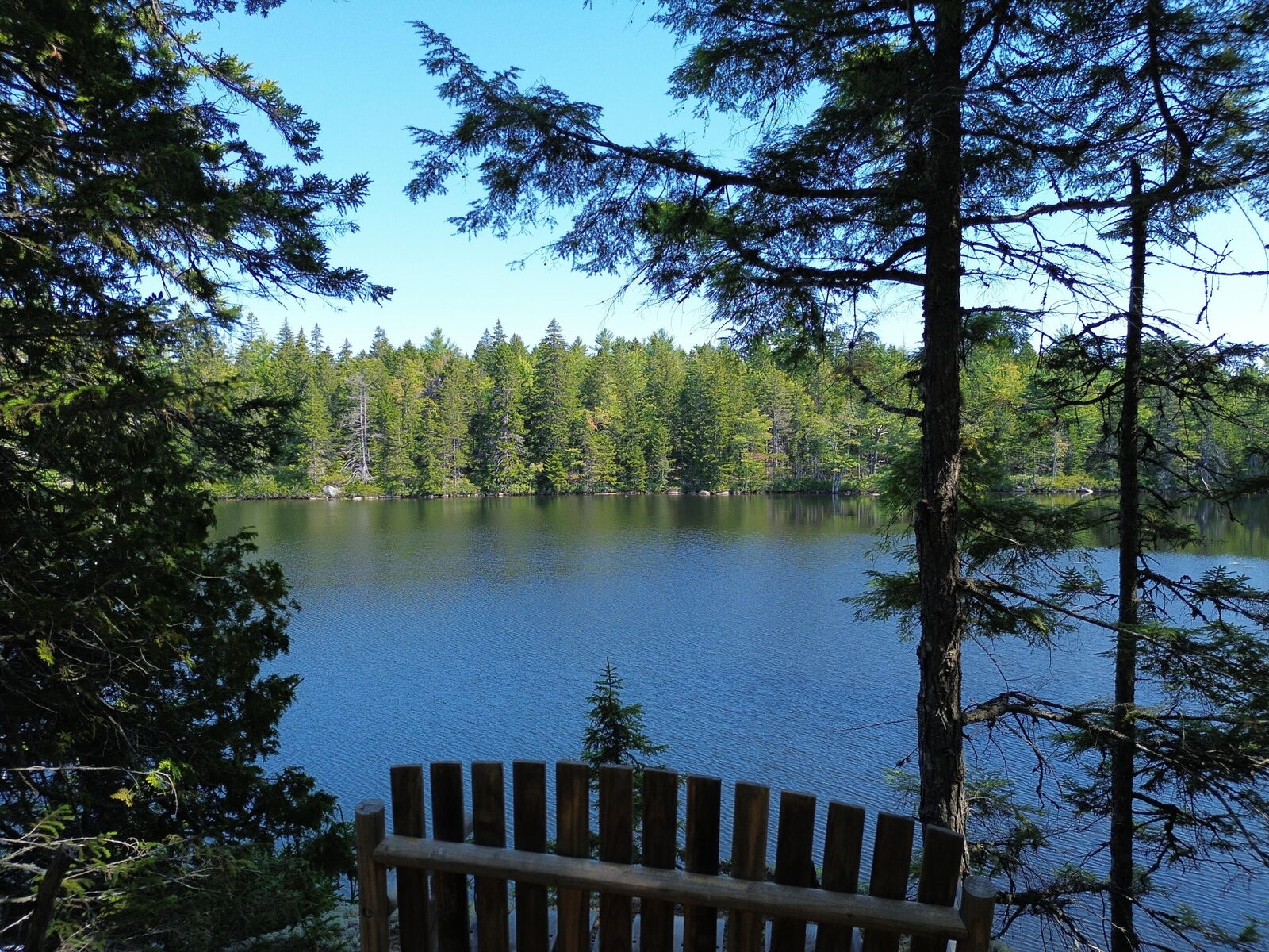 Property Photo: 41 Sportsmen'S Lodge Road ME 04654
