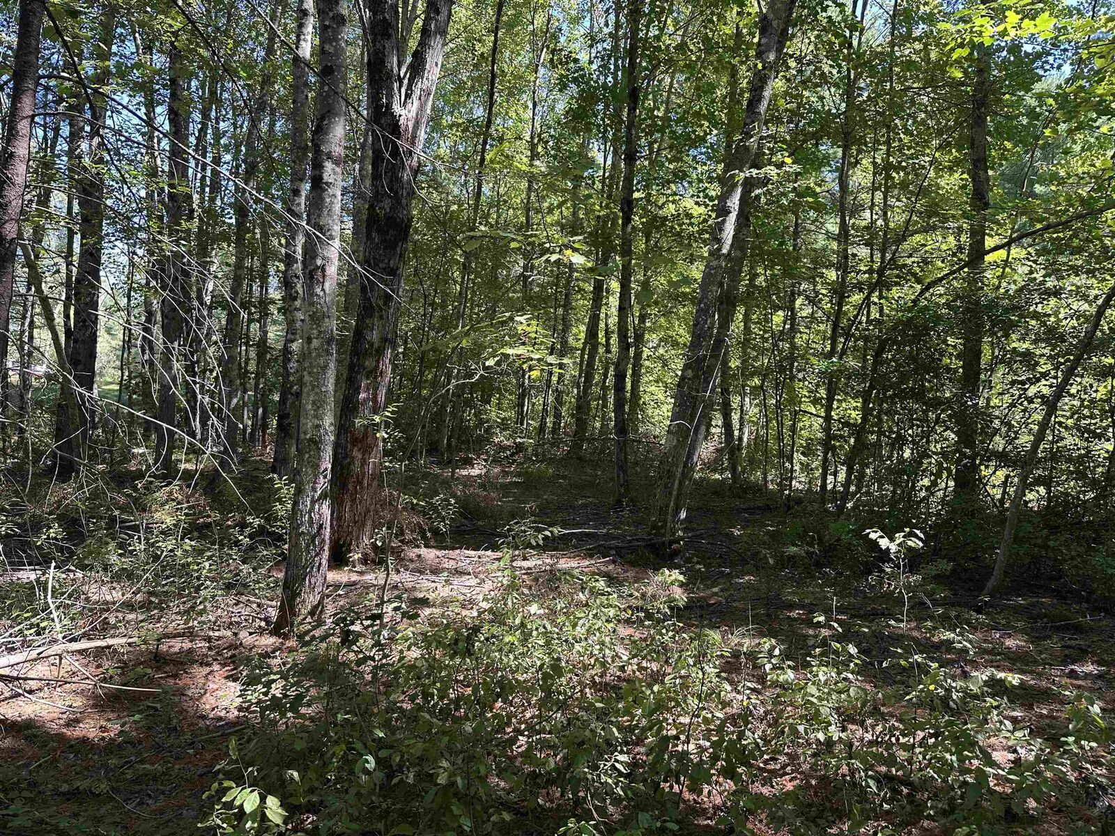 Property Photo: 12 Baxter Place NH 03809
