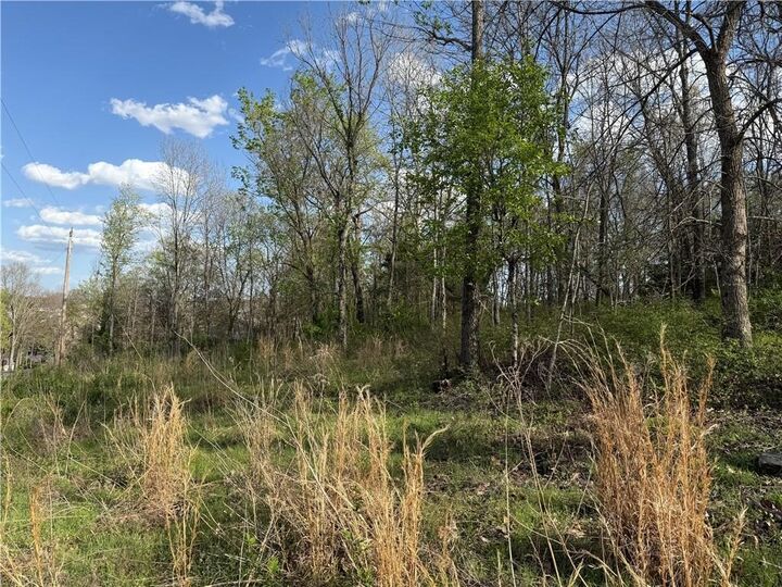 Property Photo: Lot 7 & 8 Dunkeld Drive AR 72715