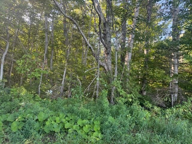 2832 Rte 14  Glenwood PE C0B 1V0 photo
