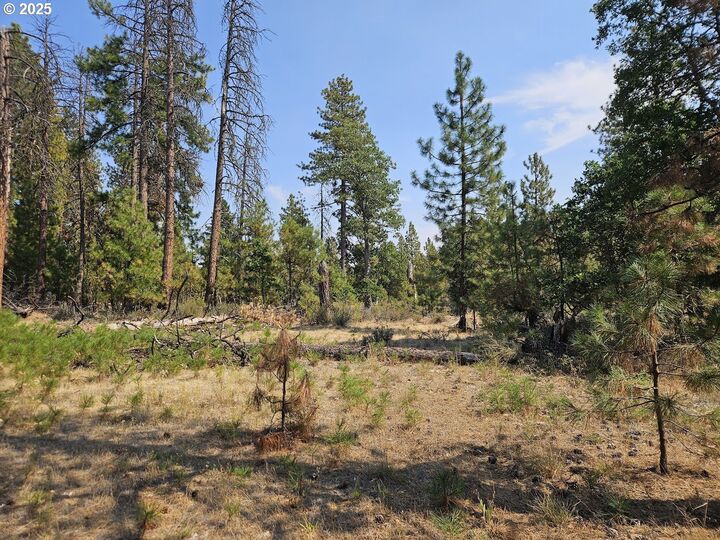 Property Photo: Hawks Wind Rd 1 WA 98620