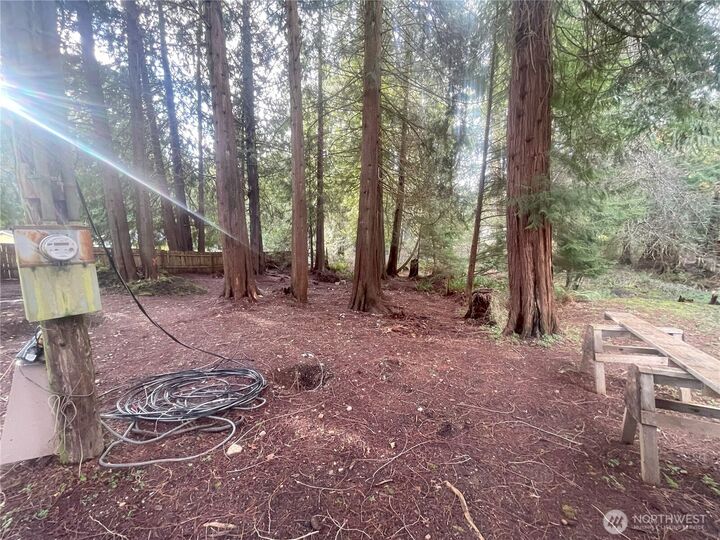 Property Photo:  81 E Annas Way  WA 98584 