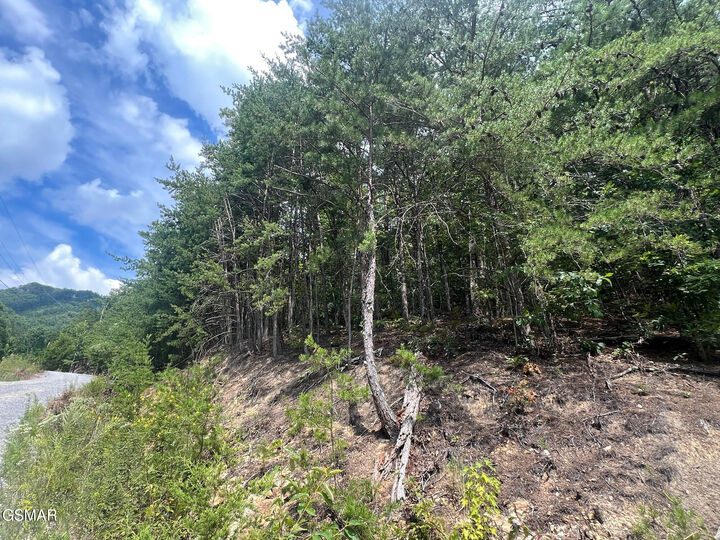 Property Photo: 992 Bogard Creek Road TN 37722