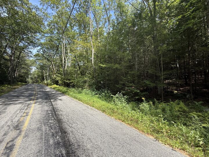 Property Photo: 0 Quaddick Town Farm Road CT 06277