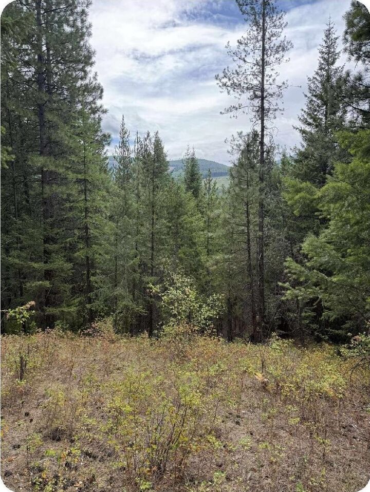 Property Photo: 34xxx N Blanchard Creek Rd WA 99156