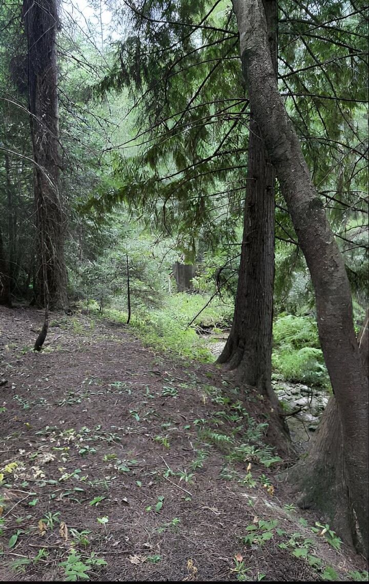Property Photo: 34xxx N Blanchard Creek Rd WA 99156