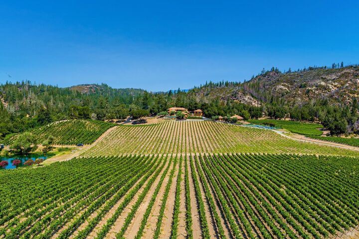 Property Photo: 8320 Franz Valley Road CA 94515