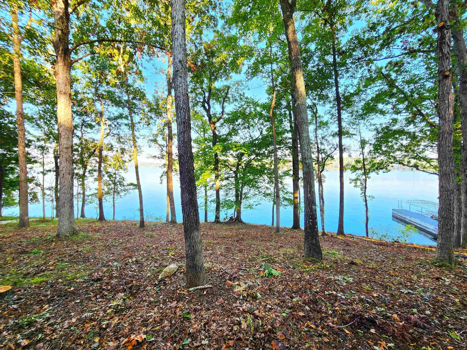 Property Photo: 117 Horseshoe Circle GA 31024