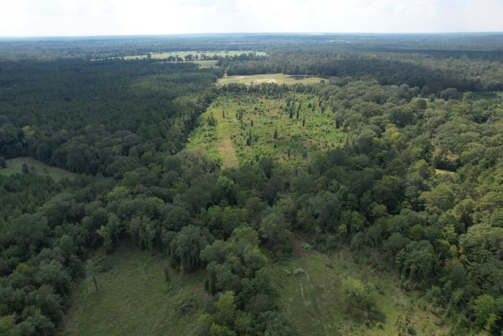 Property Photo:  R153782 Pahal Road  TX 75949 