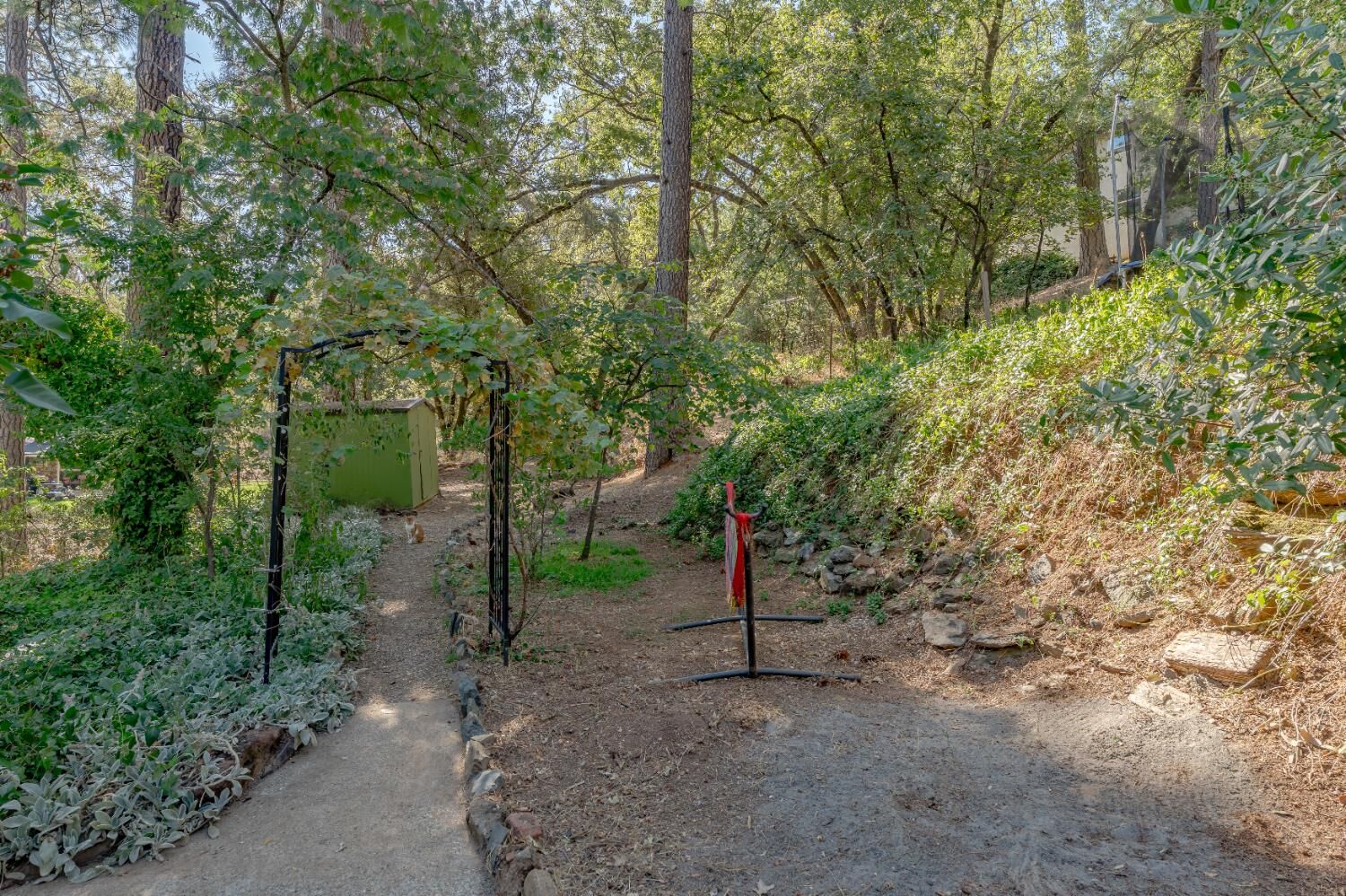 Property Photo:  20950 Indian Drive  CA 95713