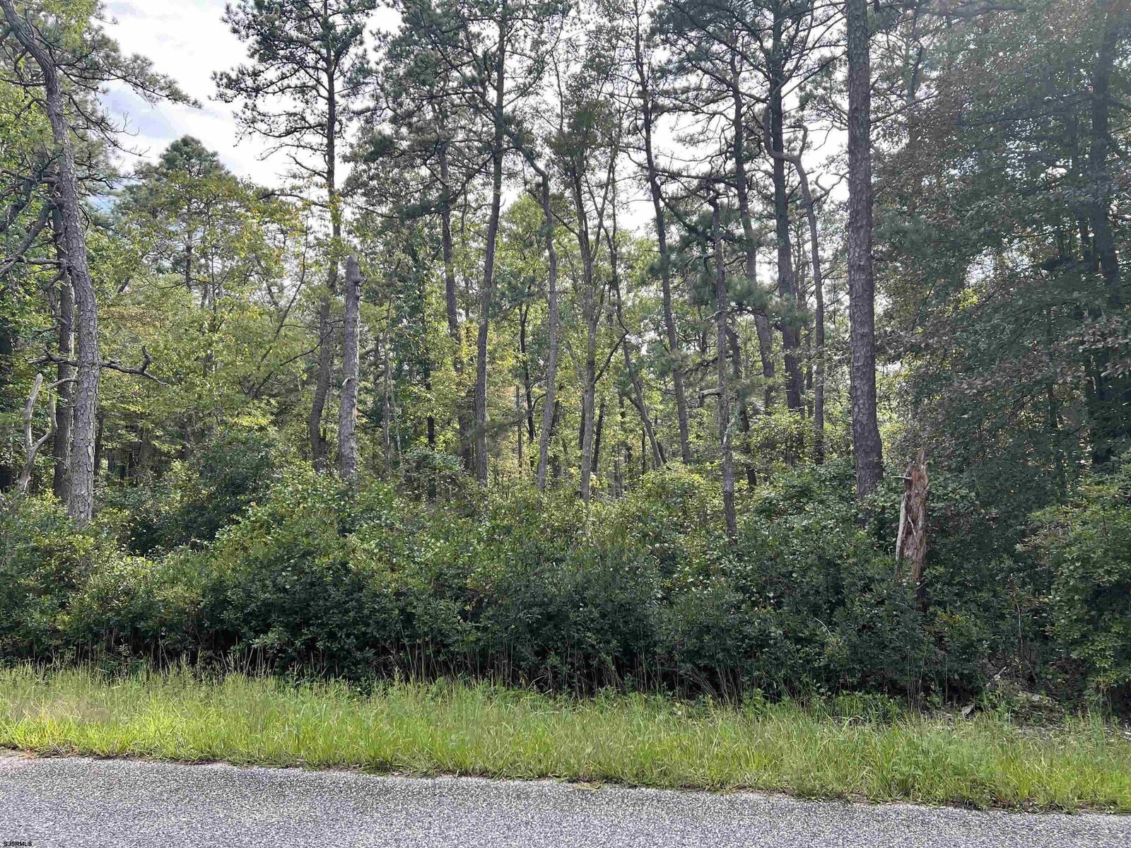 Property Photo:  5827 Holly Street  NJ 08330 