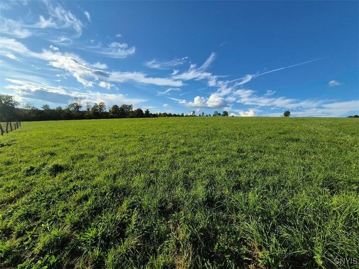 Property Photo:  2918 Rt 41  NY 13040 