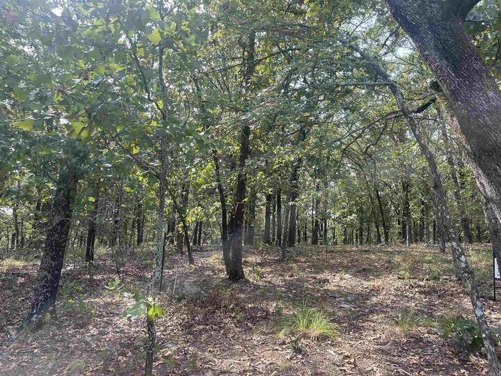 8 Acres Lakeview Drive  Conway AR 72032 photo
