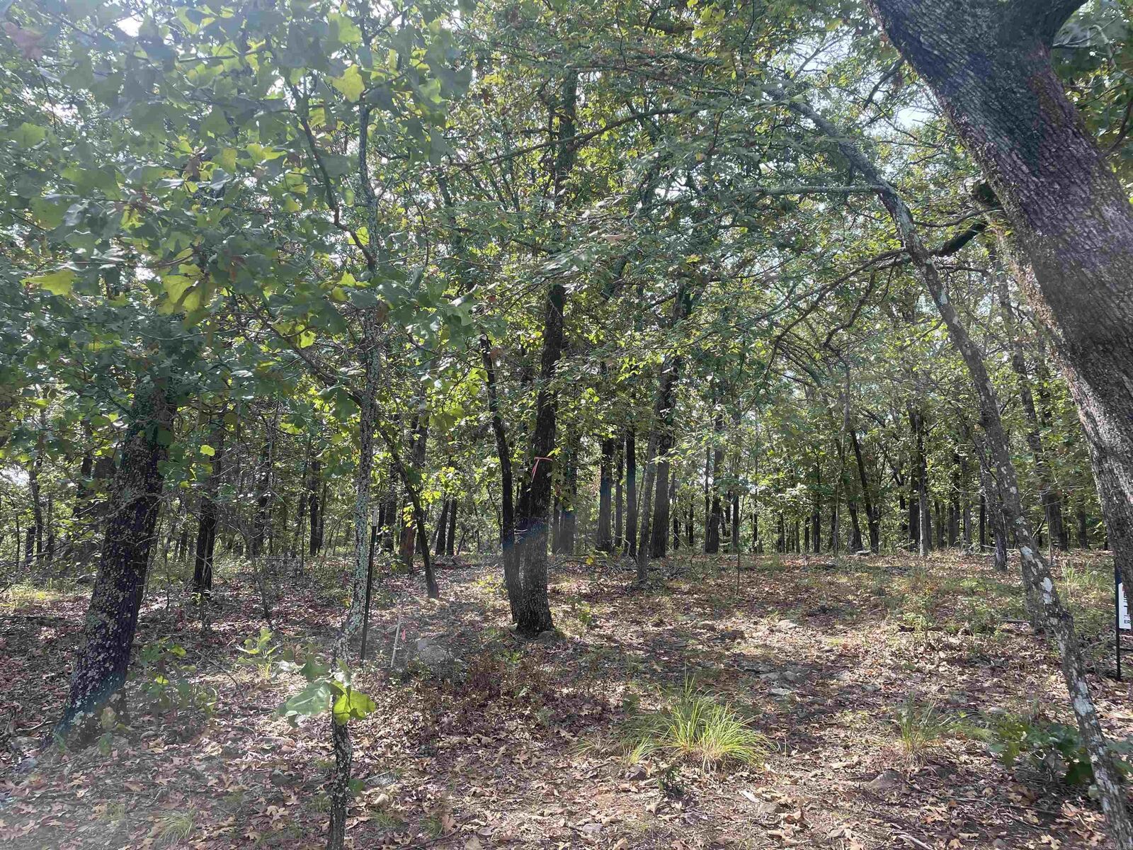 Property Photo: 8 Acres Lakeview Drive AR 72032