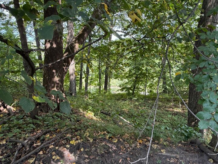 Property Photo: 38388 512th St MN 56003