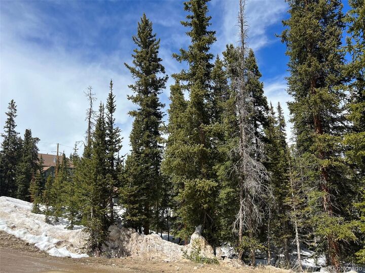 Property Photo:  134 El Lobo Ln  CO 80440 