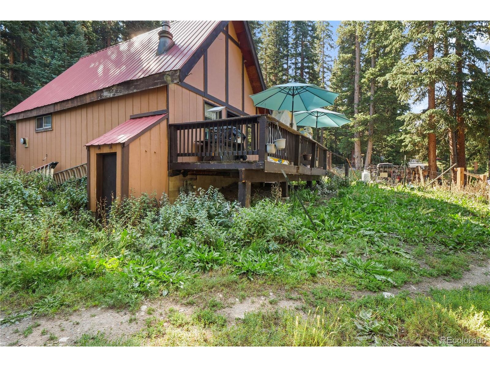 Property Photo:  527 Tordal Way  CO 80424 